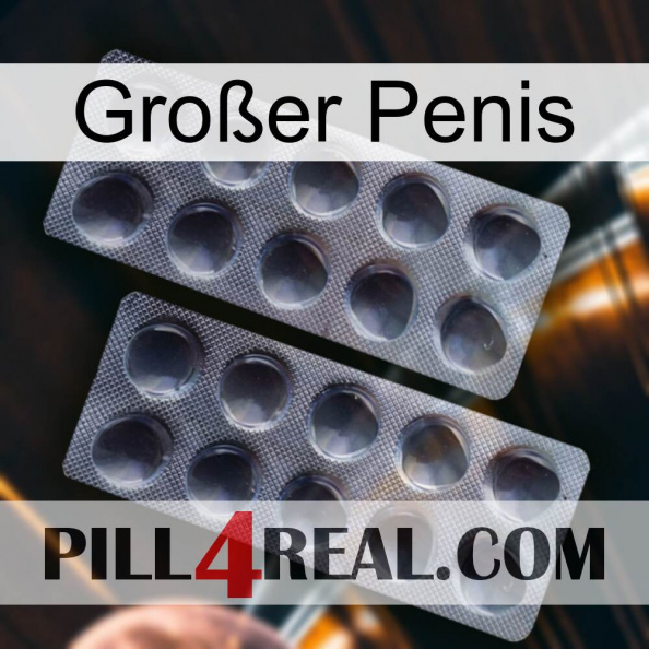 Großer Penis 31.jpg
